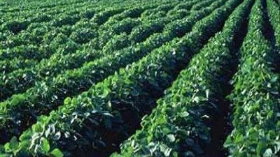 الحكومة تنفي حظر تداول المنتجات الزراعية بالخارج لعدم مطابقتها المواصفات