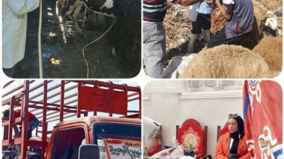 الكشف على196مواطن ورش وتجريع 450 رأس ماشية خلال قافلة سكانية شاملة بأبو حمص