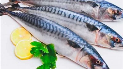 السبيط بـ200 جنيه.. تعرف علي أسعار السمك اليوم الأحد 16 أكتوبر بسوق العبور