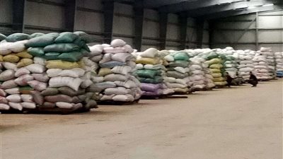 توريد 9863 طن أرز شعير بالشرقية