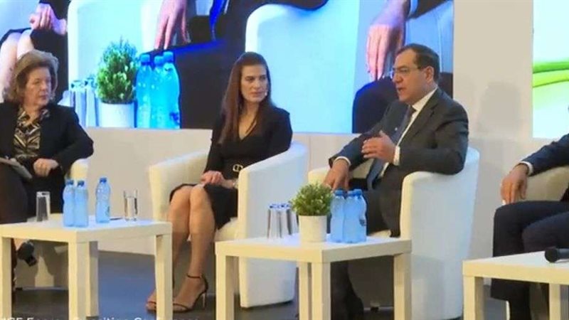 وزير البترول طارق