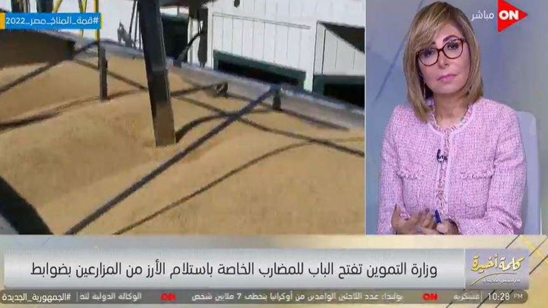 رئيس شعبة الأرز في
