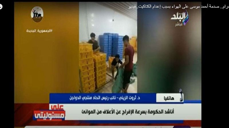إعدام الكتاكيت