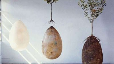 زوجان إيطاليان يبتكران كبسولة تحول جثتك لشجرة بعد الموت.. فيديو