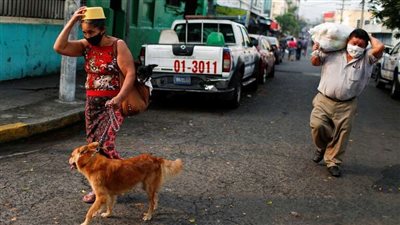 ولاية هندية تحظر بيع لحوم الكلاب