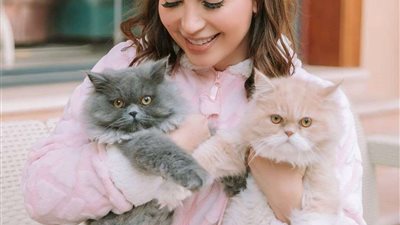 نسرين طافش متغزله بقططها 