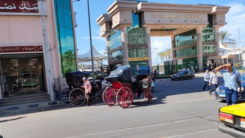 عربات الحنطور في