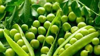 فقدان الوزن.. تعرف على فوائد البازلاء