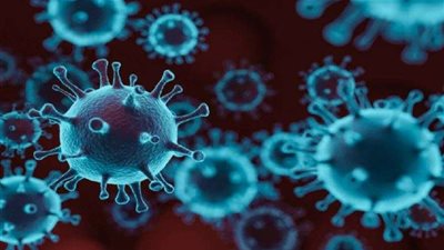 رئيس التميز العلمي للفيروسات: مصر خالية من أي متحورات جديدة.. ولم نرصد XBB