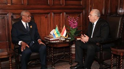 وزيرا الزراعة في مصر والجابون يبحثان أوجه التعاون المشترك في المجالات الزراعية المختلفة