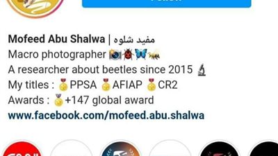 يعجز البشر عن رؤيتها.. سعودي يلتقط صورا لوحوش صغيرة تعيش بين البشر