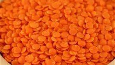 أسعار العدس اليوم الثلاثاء 18-10-2022 بالسوق المحلية