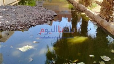 وحدة أبو سليم الصحية في بني سويف تغمرها مياه الصرف الصحي.. (صور)