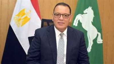 تطوير محور الرميلة المروري الجديد بالشرقية بتكلفة 5 ملايين جنيه