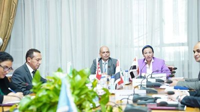 فؤاد: دعم القضايا البيئية العربية عالميا أهم أولويات المجلس