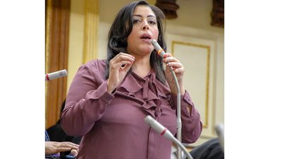 النائبة مرثا محروس تشيد بالاتفاق مع الكونغو على زراعة 20 ألف هكتار