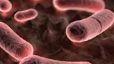 الصحة العالمية تكشف كيف يمكن إنقاذ الأرواح من الطاعون