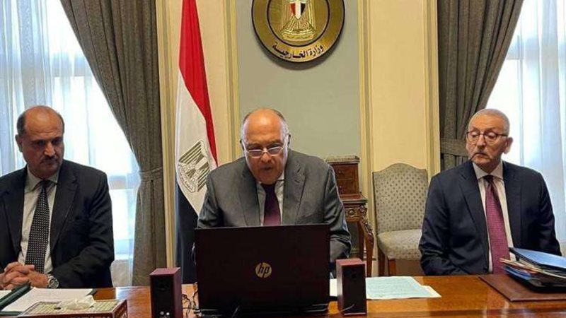 شكري خلال المؤتمر
