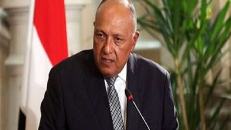 سامح شكرى وزير الخارجية