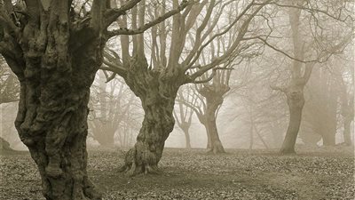 أسطورة ملعب الموتى.. أرواح شريرة تطارد الأطفال في الليل