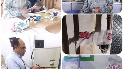 غلق وتشميع 3 منشآت طبية لمخالفتها شروط التراخيص بالبحيرة