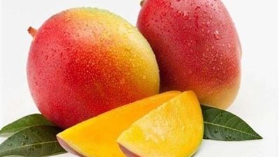 تعرف على أهم الفيتامينات التي تقوي المناعة عند تناول المانجو