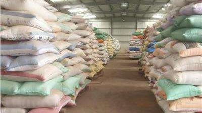 عقوبات للممتنعين.. شون البحيرة تستقبل قرابة 37.5 ألف طن أرز