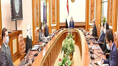 الرئيس السيسي يوجه بدعم برنامج 