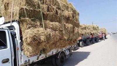 وزيرة البيئة تتابع آخر مستجدات جهود وزارة البيئة للحد من نوبات تلوث الهواء الحادة