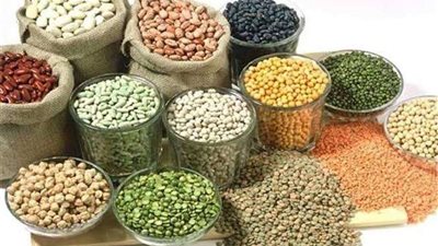 صادرات الحبوب الأوكرانية تتجاوز 11.5 مليون طن خلال موسم 2022-23