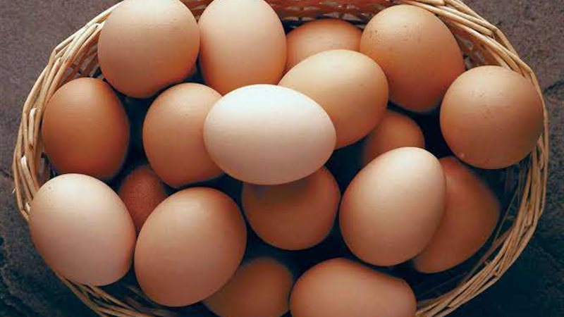 أسعار البيض