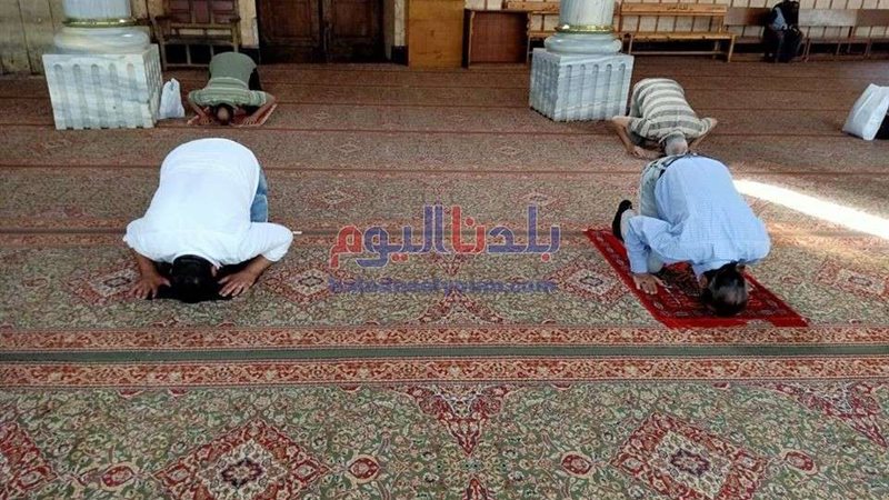 بلدنا اليوم