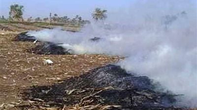 تحرير 38 محضر مخالفة بيئية لحرق المخلفات الزراعية