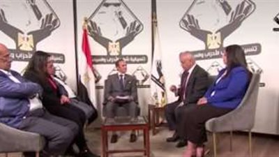 قطاع الأعمال فى صالون التنسيقية: أرباح شركات الوزارة تجاوزت 12 مليار جنيه