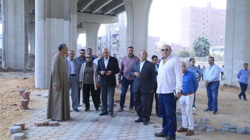 محافظ الجيزة