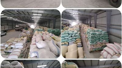 توريد ٤٣١٧٩ طن أرز لشؤن محافظة البحيره حتى الأن