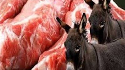 الحبس سنة لـ صاحب مطعم كان يقدم لحوم حمير للمواطنين بحلوان