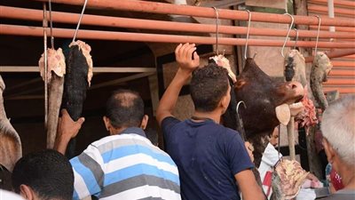 الأوقاف والتموين يوقعان عقد صكوك الأضاحي