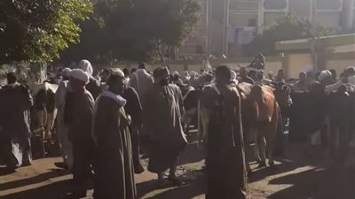 إقامة سوق الأحد بمنقباد رغم التحذيرات