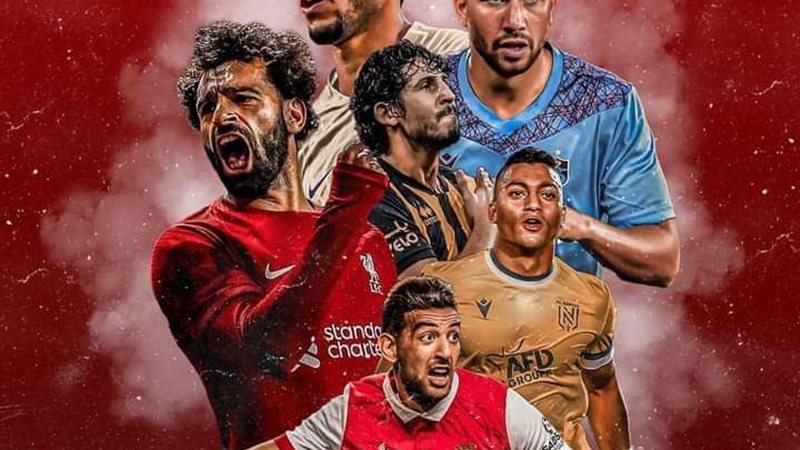 المحترفين المصريين