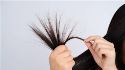 من قلب المطبخ.. مكونات طبيعية لعلاج تقصف الشعر