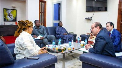 السفير المصري يلتقي السيدة الأولى في جمهورية النيجر
