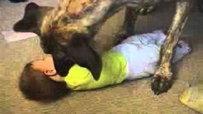 كلب ينهش جسد طفلة حتى الموت بالغربية