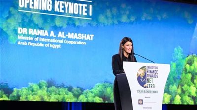 المشاط: 7.3 مليار دولار تمويلات تنموية جارية من شركاء التنمية للقطاع الخاص في مصر