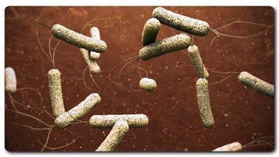 وزارة الصحة والإسكان توضح أهم أعراض الكوليرا ومدى خطورتها