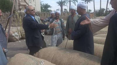 وكيل زراعة الفيوم يتفقد حلقات القطن ويستمع إلى مشاكل المزارعين | صور