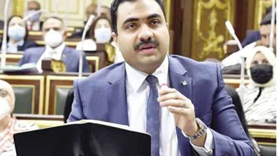 بعد قرار تقنين السناتر.. برلماني: طلبنا استدعاء وزير التعليم استجابة لغضب الشارع