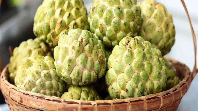 أسعار الفاكهة
