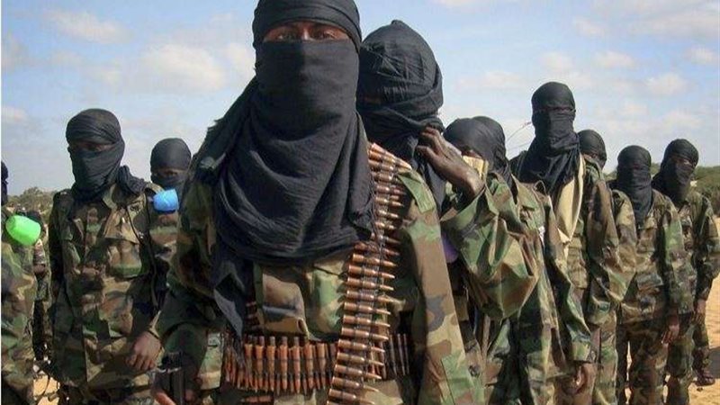 تنظيم حركة الشباب
