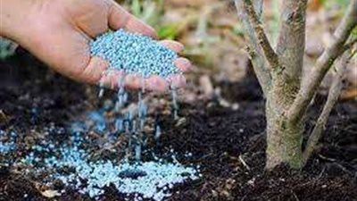 أسعار الأسمدة الزراعية اليوم الثلاثاء 25 أكتوبر في الأسواق